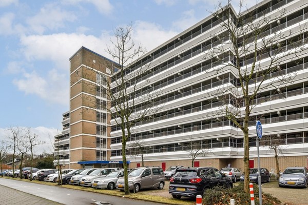 Stadzicht 100, Leiden